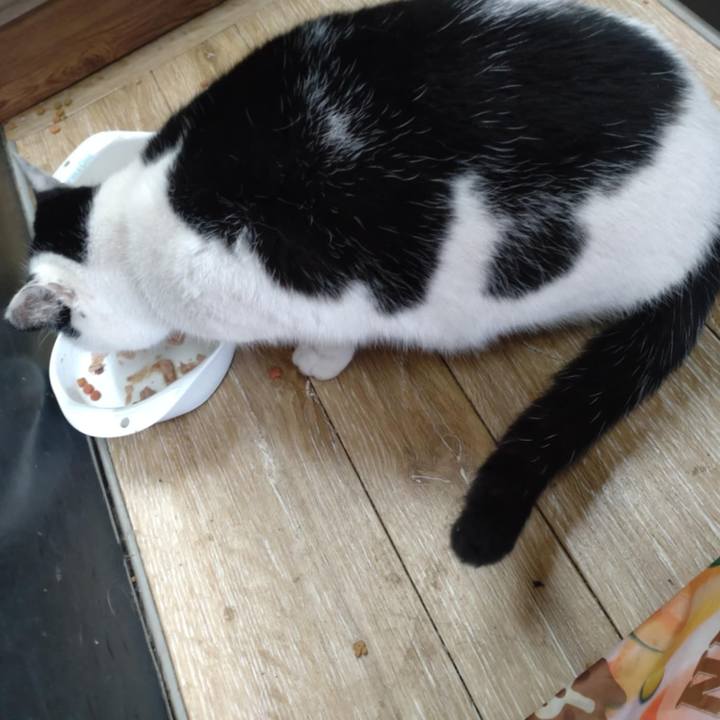 8bef20f2 9e68 40e3 8a7b 7f9c98226181 1733276686701