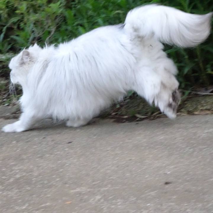 8bef3950 3f82 42eb a49d 81e736b4e95f 1528108368635