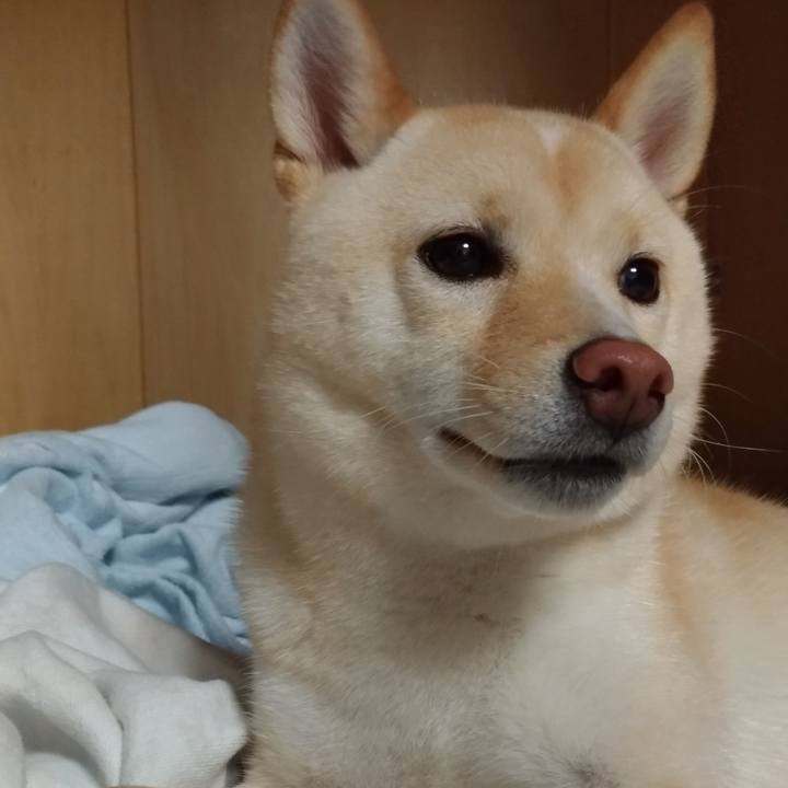 8bef4dc6 5752 4d20 9e4b 166f427b87d0 1536012118282