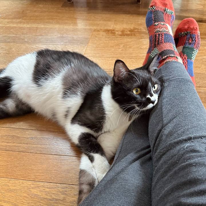 8bef96e9 13ce 4ba4 8d52 e741cd396f4b 1767240953358