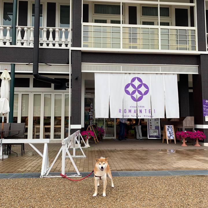 8bf05e67 4110 4175 84dc f42c711739dc 1563260527656