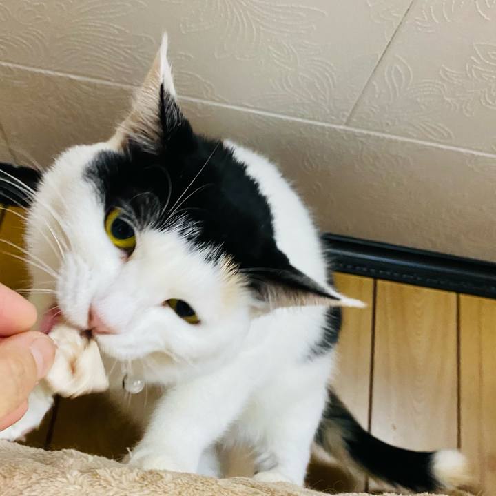 8bf06370 bb7b 48f1 9275 196010f1fcad 1667126323794