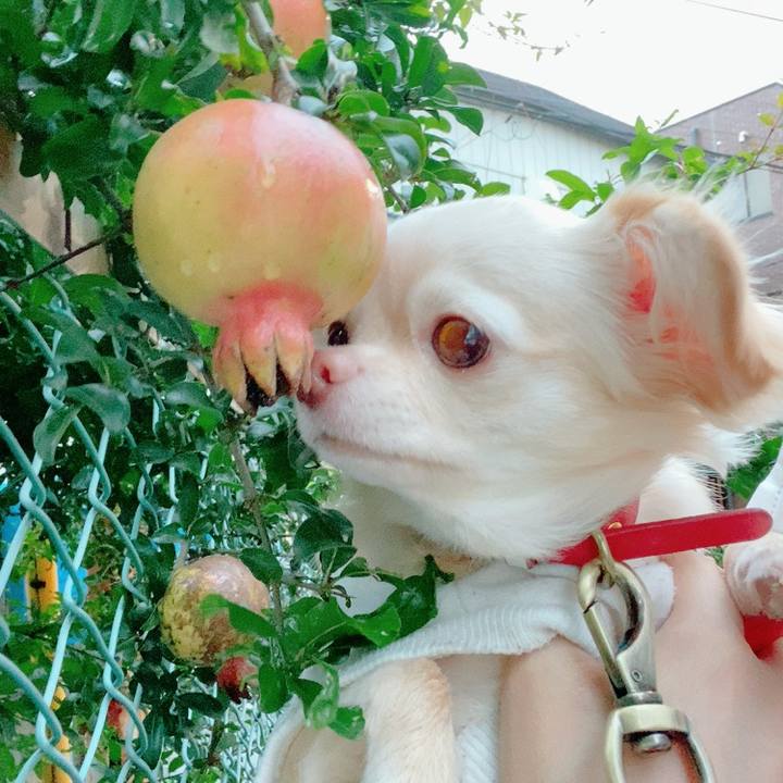 8bf08c0c 057c 4e49 8001 5d8d9edd1bf8 1630926281415