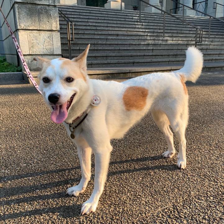 8bf08e88 6768 4ebb 9c3a a1ca0f279010 1564883497698