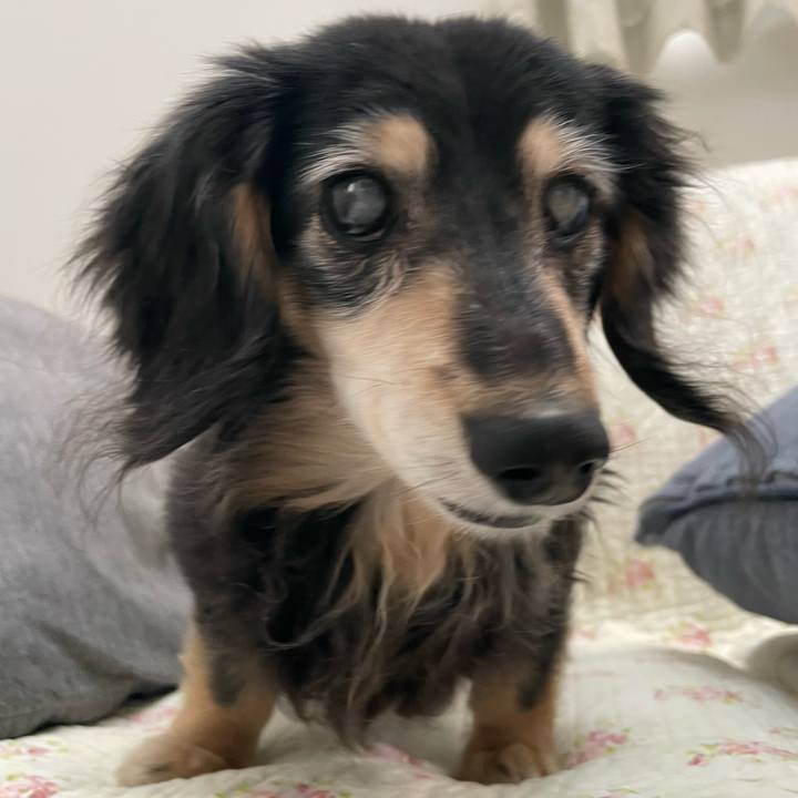 8bf09259 adb9 4c7d 8c8c 5bb8227558dd 1746791017454