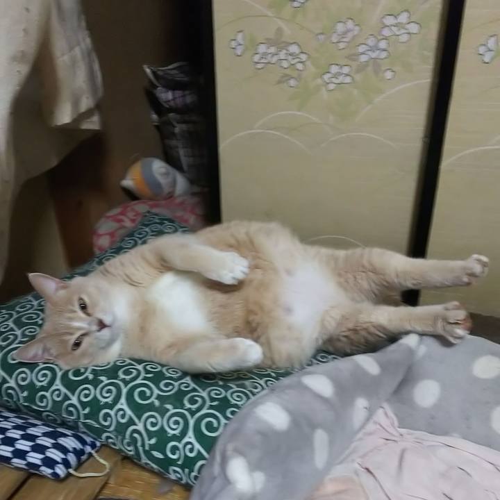 8bf0b75c 6af5 4158 bc18 655a1288aa96 1572767103127