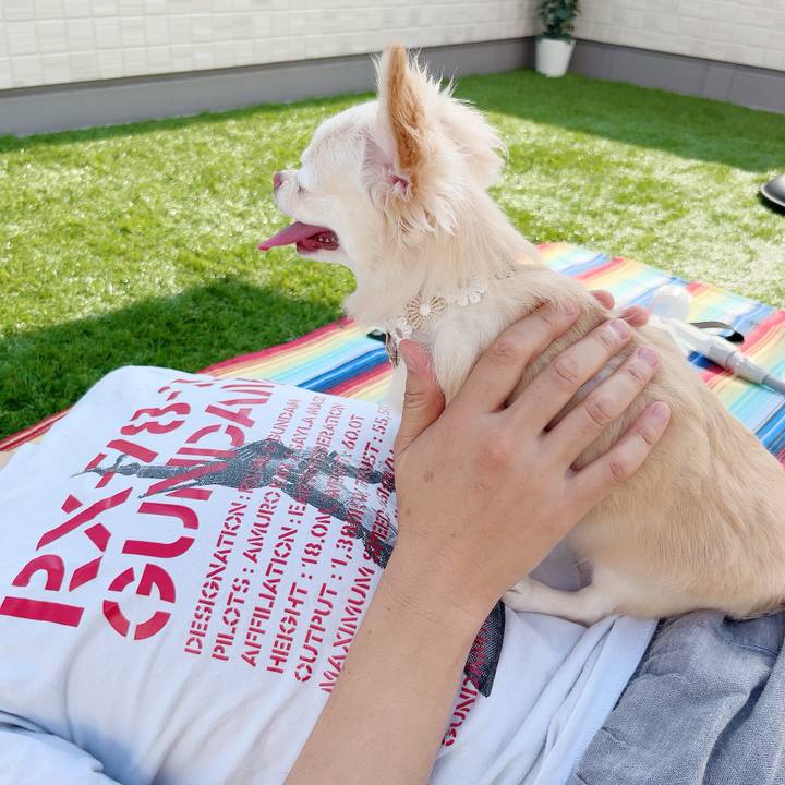 8bf0cad3 2528 4943 b53d 8d6cfe1652c4 1689576673734