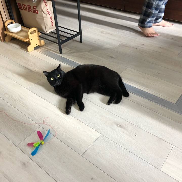 8bf1353c a126 4dfa 80da 103f49bf88b7 1521758549192