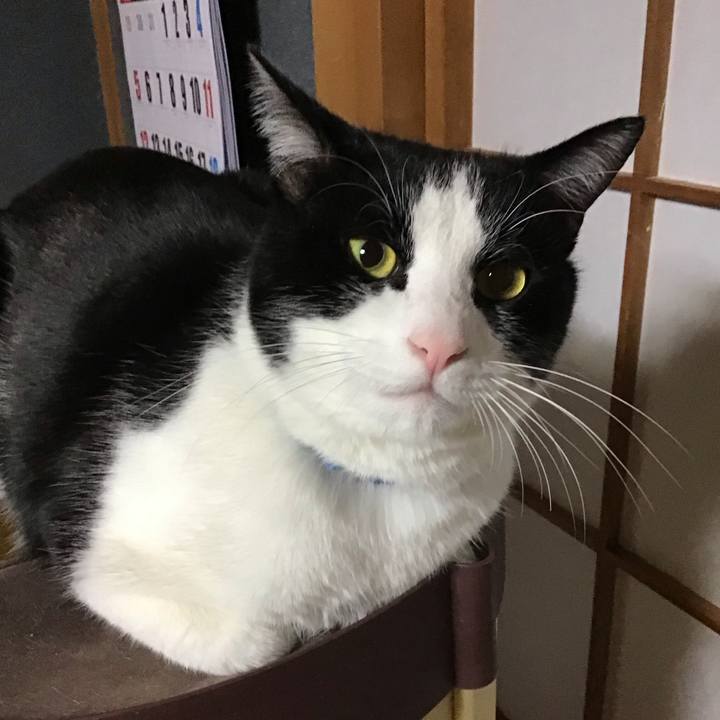 8bf1abe1 55a7 4b58 a947 34a0ba873a0c 1675338334838