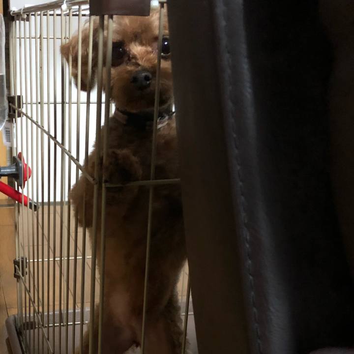 8bf1e50f 321d 4db3 87be 4df505212d7b 1547504514255