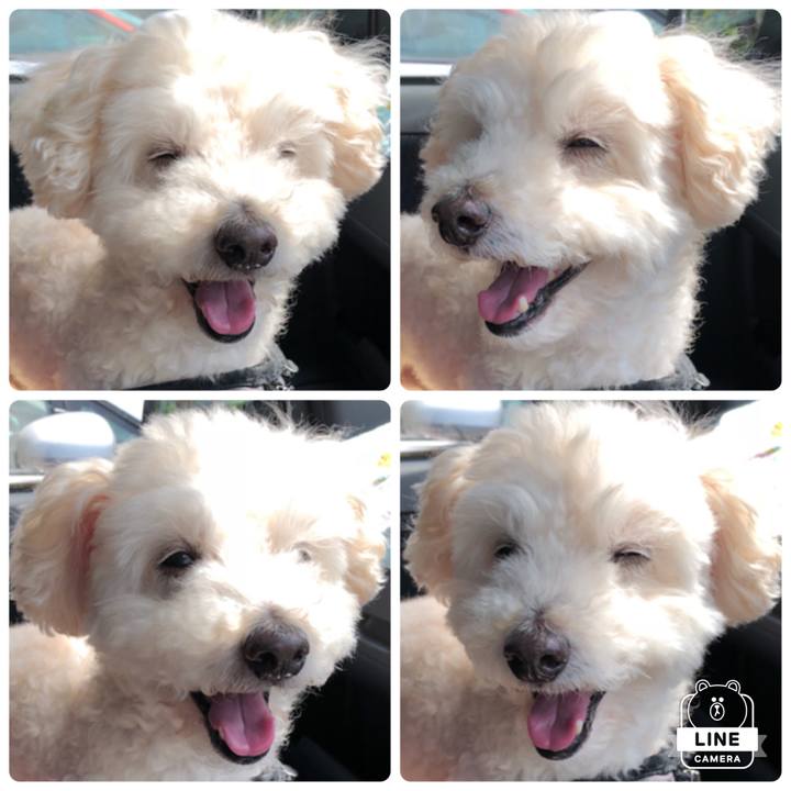 8bf215a7 8878 4558 842e 09a6c327548c 1528585479235