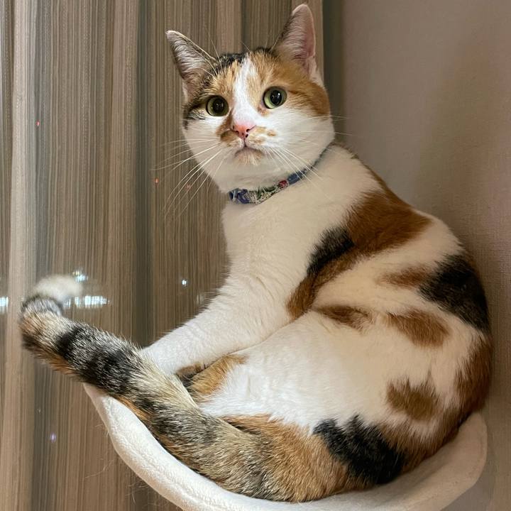 8bf223ba f273 4b1b a26b 2f0b6cb4d2c1 1704276588325