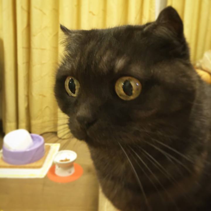 8bf24531 95f2 494d 9fbc 3bc7acbde57e 1576836374316