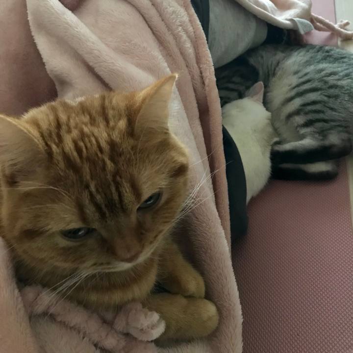 8bf2b2d1 5346 40e0 8ea1 471b8198f33c 1514967951437