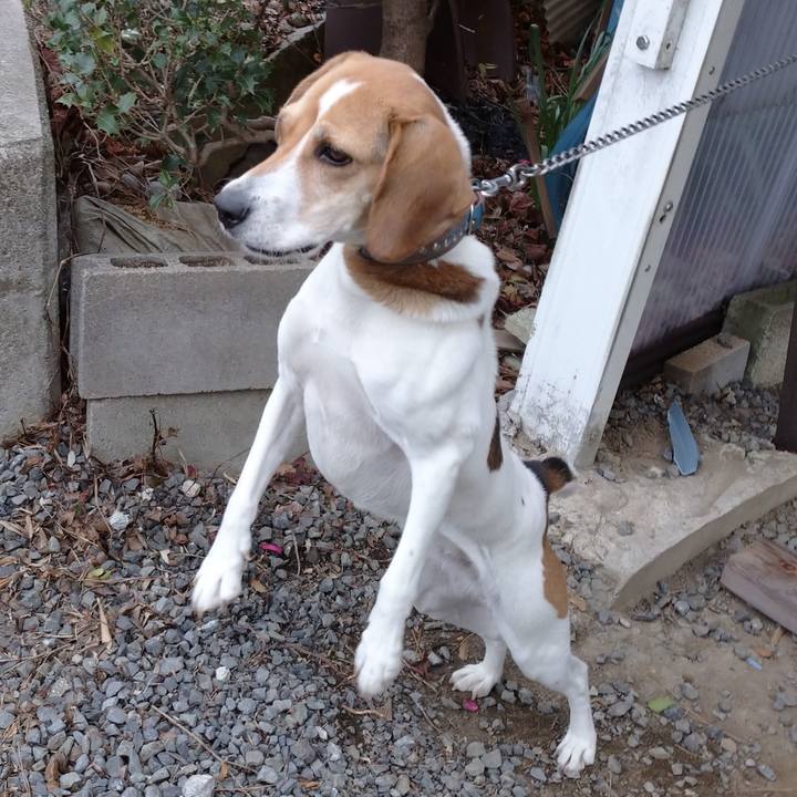 8bf2be1c be39 4afd 93fc 668d04352f59 1609731395151