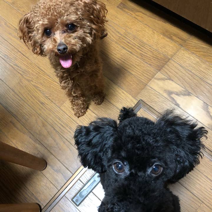 8bf2ec44 33b5 47ba 8d6b fae6a6a19b35 1521111000404