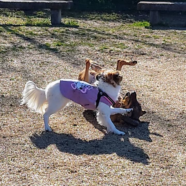 8bf2f0fb 007b 4e0d 9ac5 c0af2a59607b 1709346151259