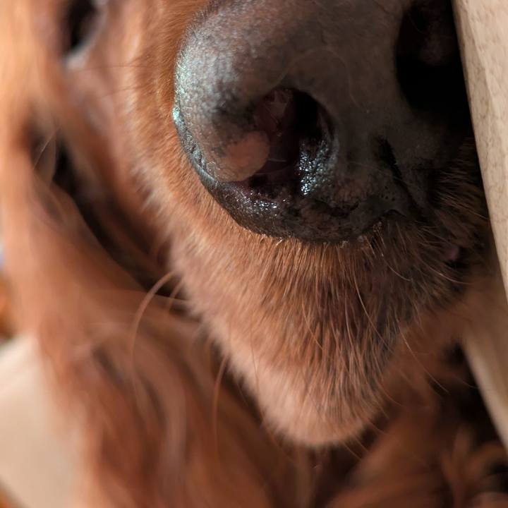 8bf2fcb1 3e35 4de4 9cd1 1fdd77fa9cde 1760102899999