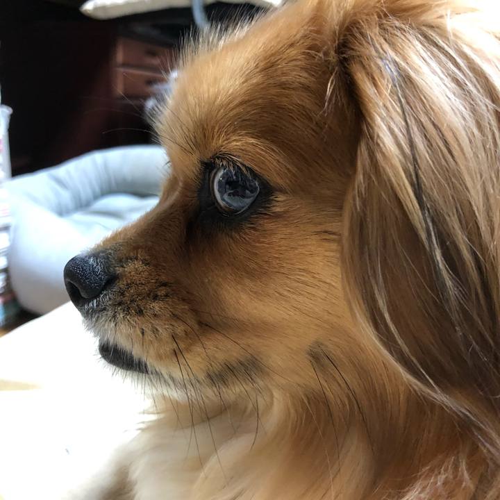 8bf32017 f0fe 46e4 a9f6 fedd4d2a4891 1557525608682