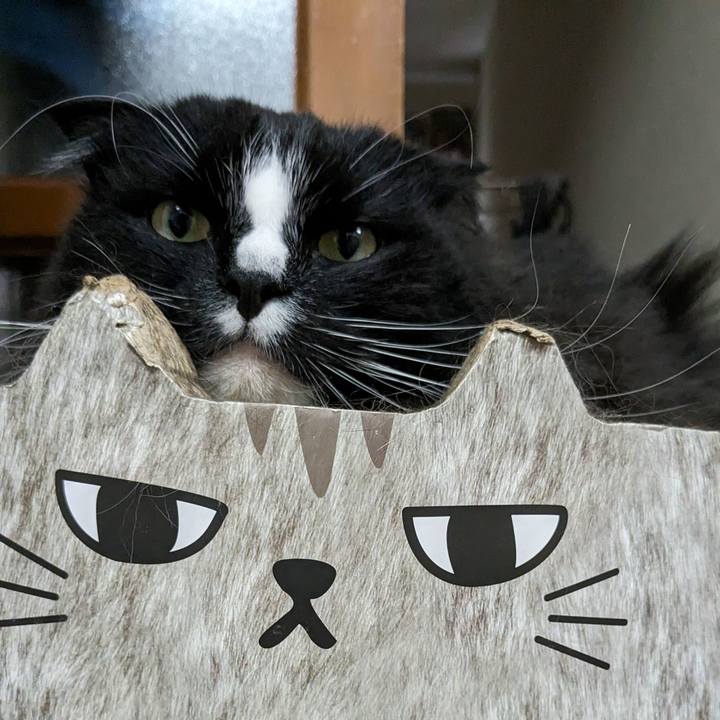 8bf325bf 9e7d 4608 8a1d c80278150950 1714619930564