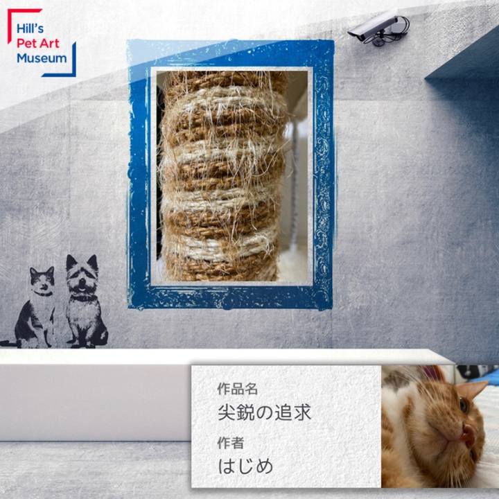 8bf33cca 0288 4274 82bd 1ae08ff39d5b 1600769191789