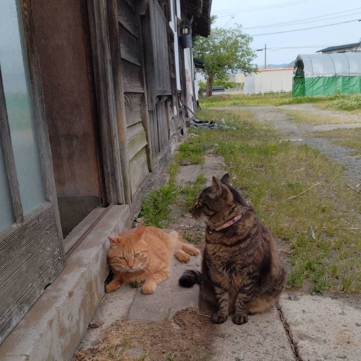 8bf3525d aa66 4d1e b766 843af170bac0 1717665289118