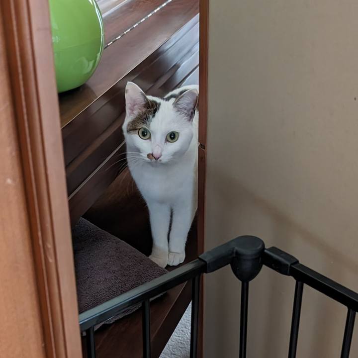 8bf35e44 daf5 4a2b 9ad8 c26df91adb40 1708169516606