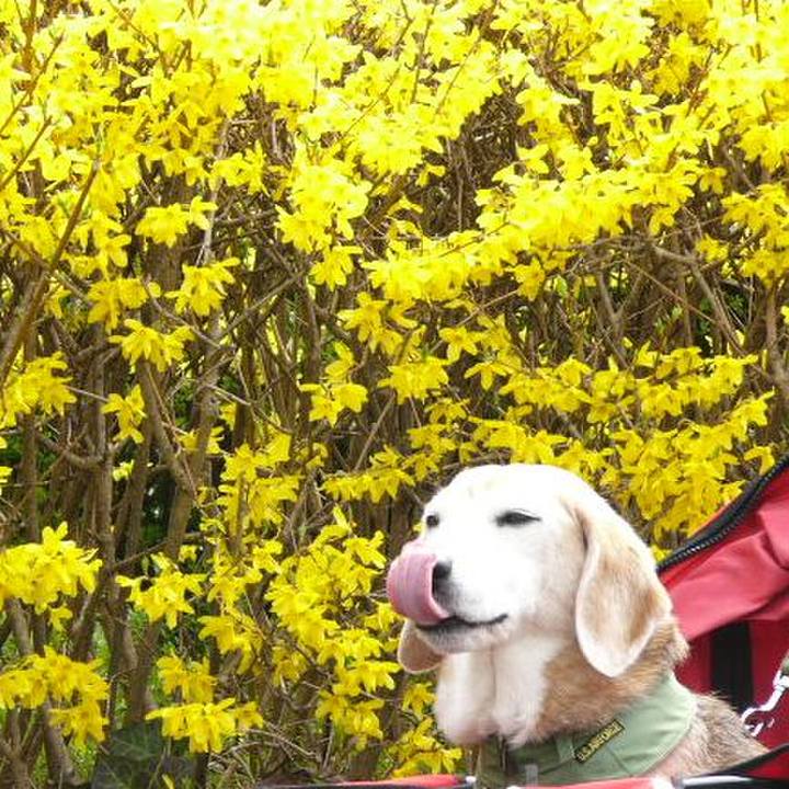 8bf376a8 c3da 41e8 846f d0b4cd838d2a 1680313574065