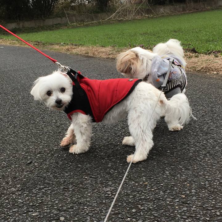 8bf395d3 f50d 4514 9f99 ff3db32f6bcb 1582346660654