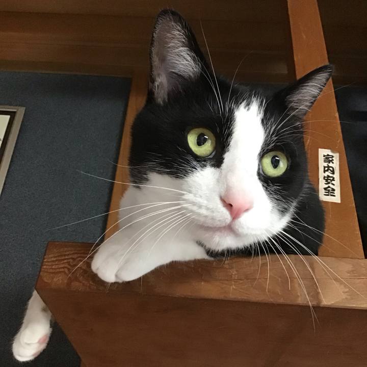 8bf3b525 e548 4c90 ae08 8bccdeb255cb 1719390395891