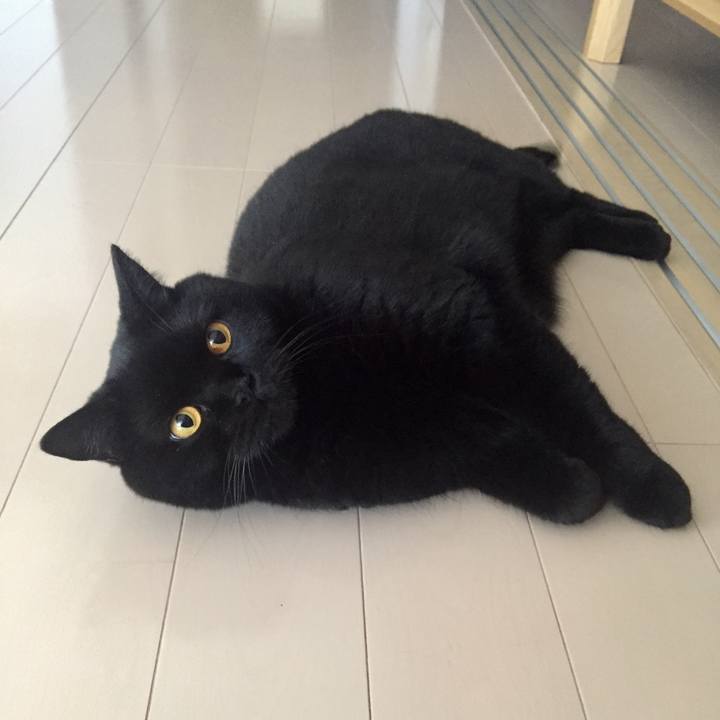 8bf3bee8 cc50 4efc 989a fe7a298e39cb 1600389797607