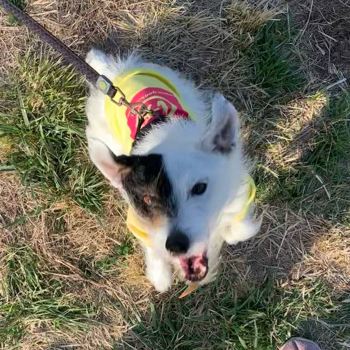 8bf3f81e 1962 42a6 b78f b79bdcad69a4 1678950909707