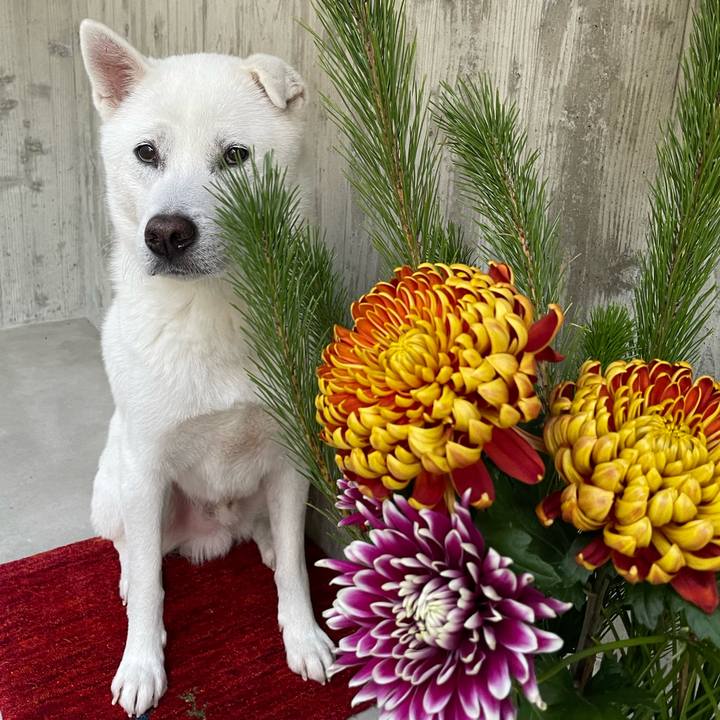 8bf40172 1594 466b 8ff3 bbcd86118a3e 1735644896160