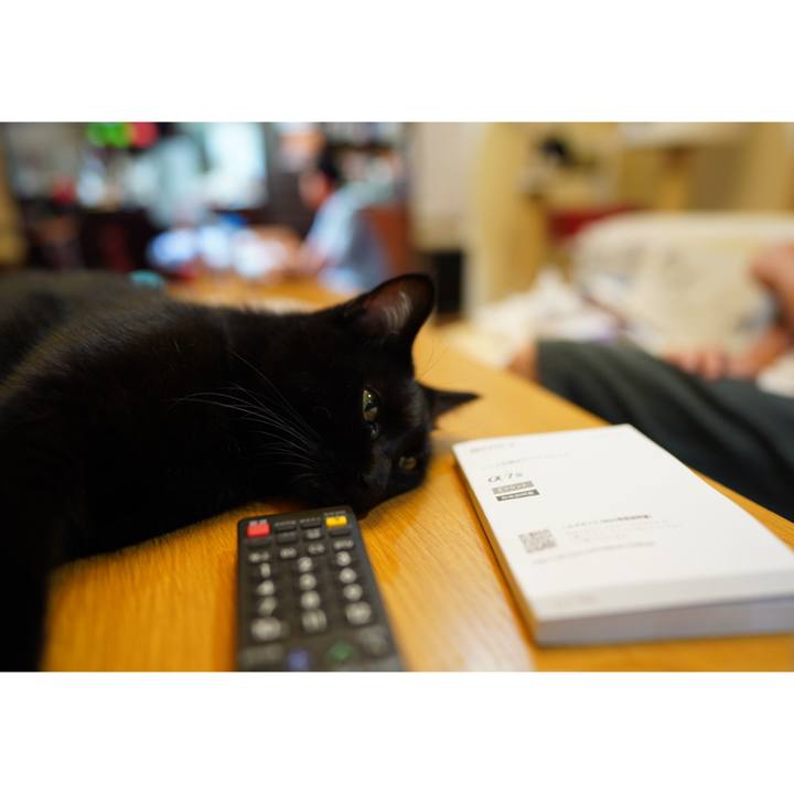 8bf41748 647e 40df 9848 17ab1eb62b4e 1566172205076