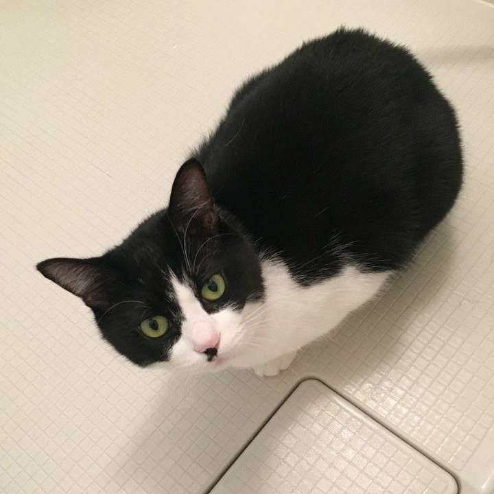 8bf4229f 4367 4a94 a197 fd3f07baf1a1 1540551902729