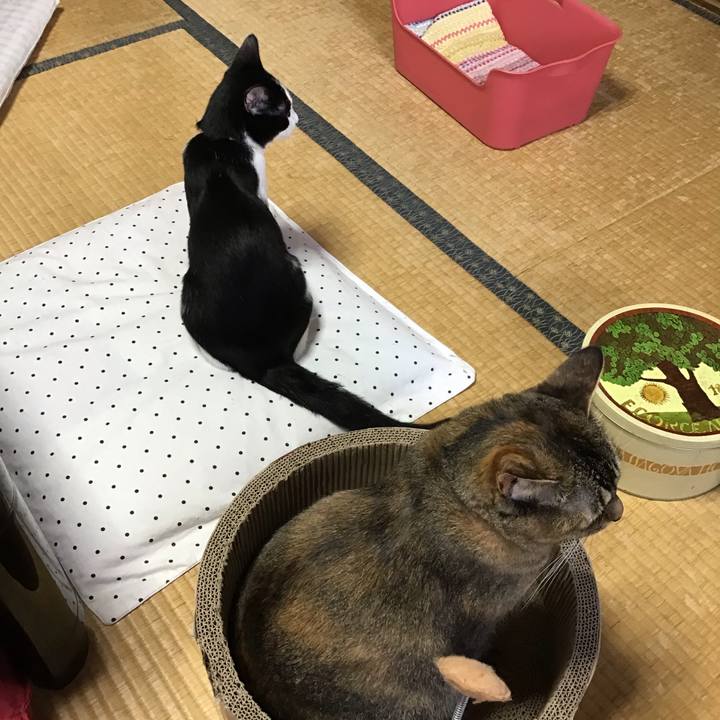 8bf43ea3 f342 4ae5 a2fd 158b0686d943 1629264688275