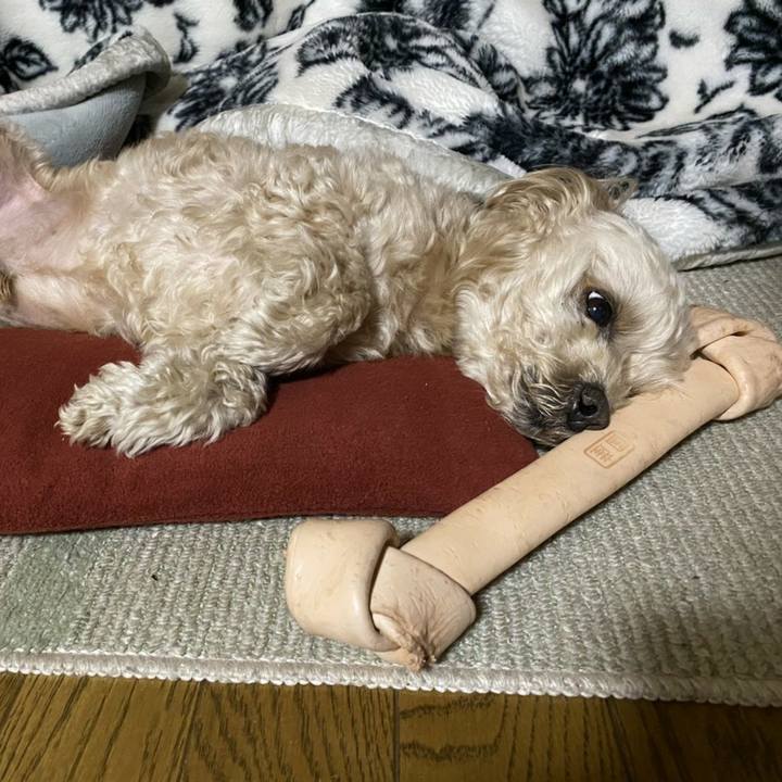 8bf4722a d6b1 4b8c a4b3 93d1ef3a36cd 1583576168844