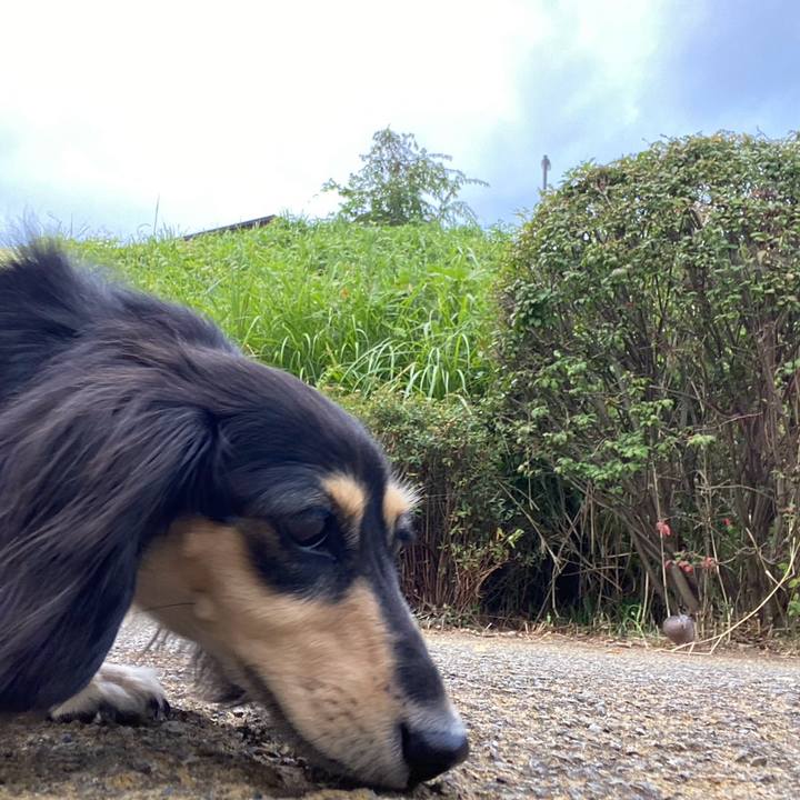 8bf4a1b7 9bc3 42ed b383 ed7e3d919cc5 1756346333501