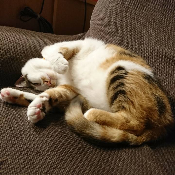 8bf4faac fcd9 4a5d 9b9e ca25a4330173 1527613108207