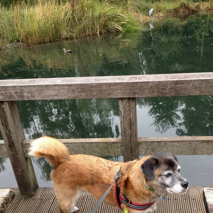 8bf4fbf7 fbe8 43ad b997 12055a6acfe9 1538701452411