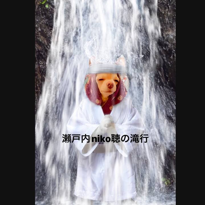 8bf50633 72a6 415f 8e55 d07dd582440e 1711620152623