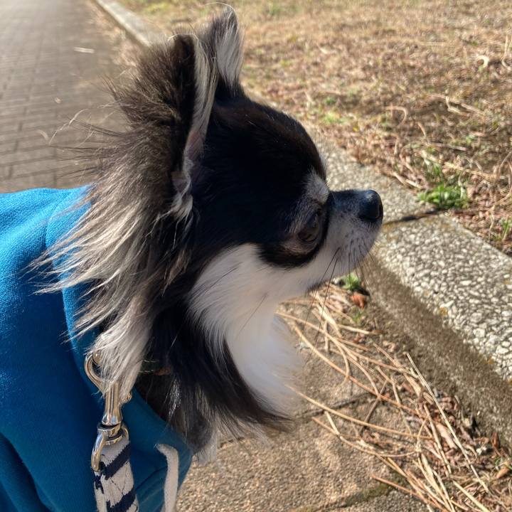 8bf50e92 4ec1 4af0 8cad b4de6f9752fd 1612680714327