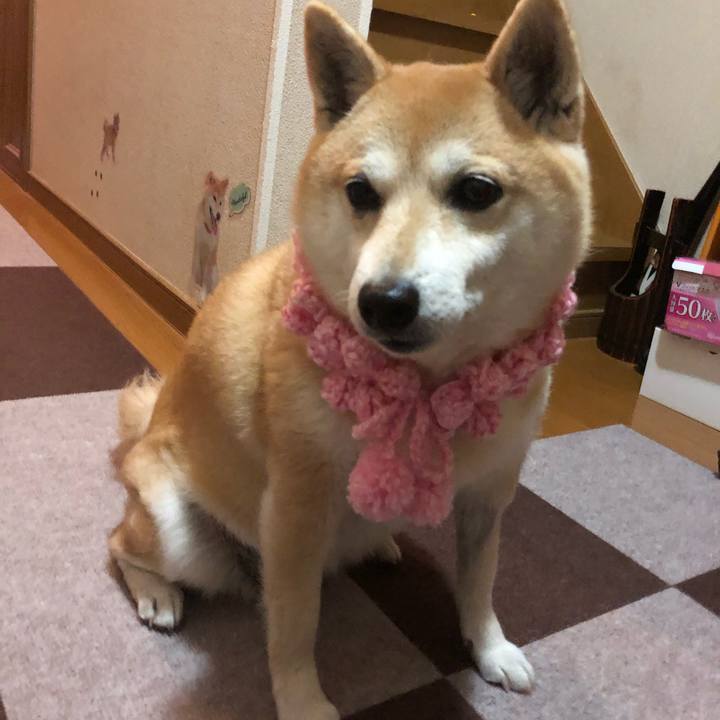 8bf5687c 092a 4e1b 9b8c 2332b27c4170 1548849669923