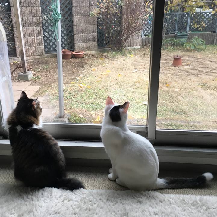 8bf5b259 b91b 4bd0 a740 e941a9b154dc 1515229743278