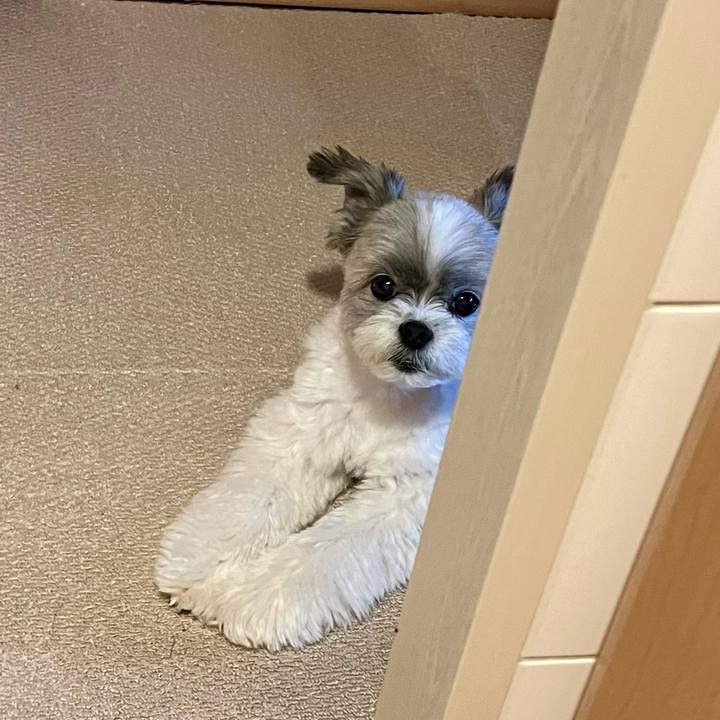 8bf5e8bc f098 4f50 ac66 855f6b612f6f 1756014124889