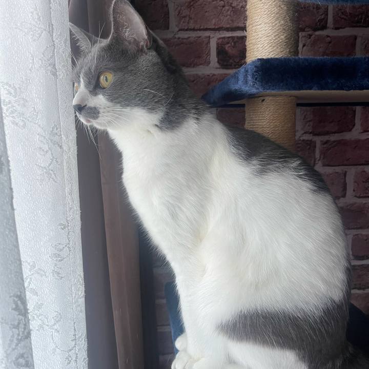 8bf60456 fe4b 42c9 a10a 8ae550111b2f 1628023417354