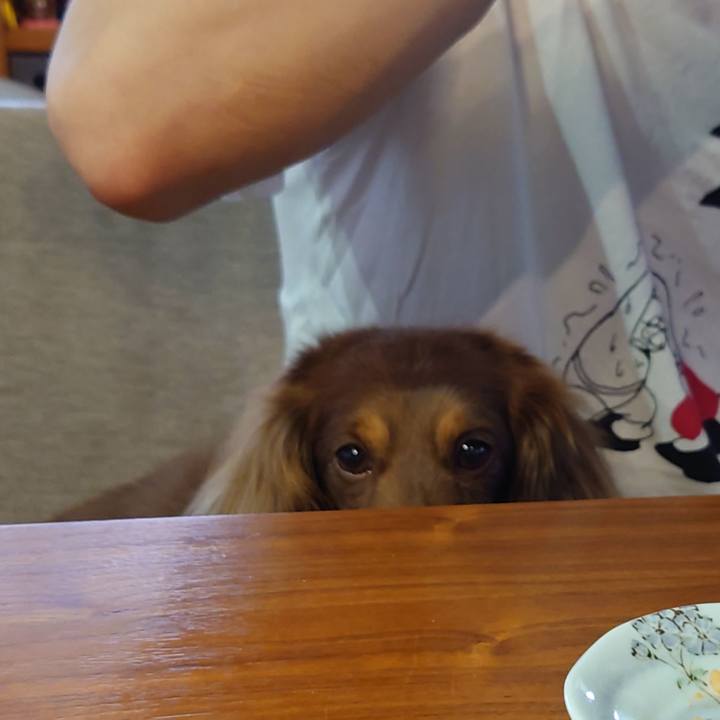 8bf65d83 ca1b 4126 84c0 95b3867d1a5e 1623561623370