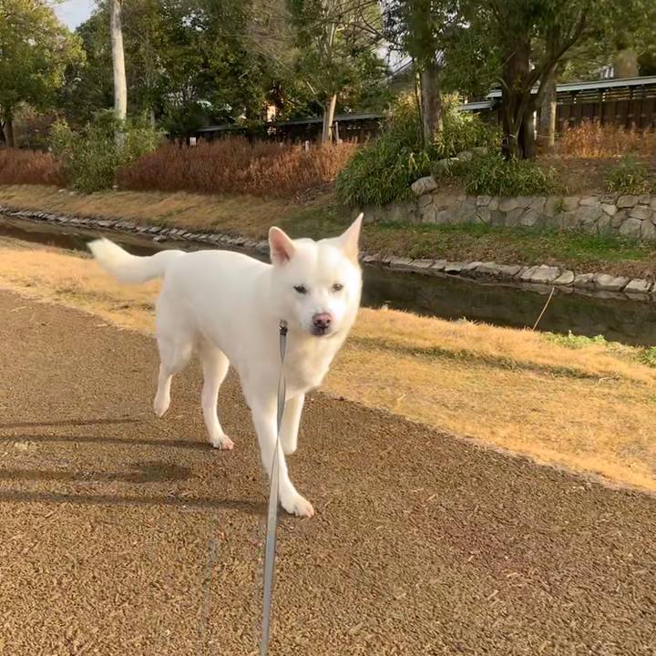 8bf69721 ca48 4b03 8646 9d120b9f8d53 1546223964091