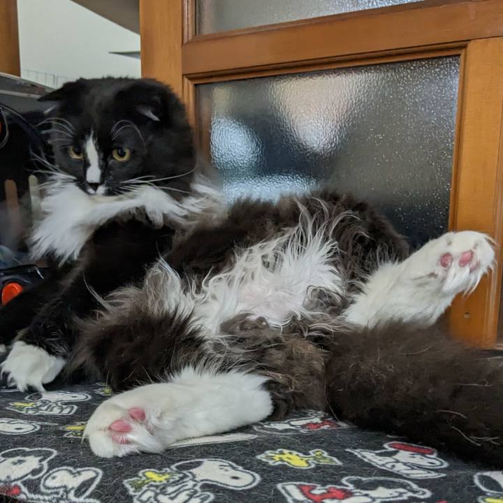 8bf69d71 ecd4 4b41 8c0b ff19511de83d 1674395432174