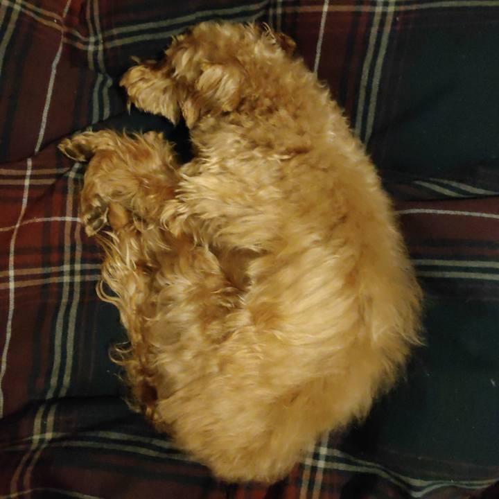 8bf6c6d0 eaee 4e8d 8e26 ca70b6b5139f 1585574586515